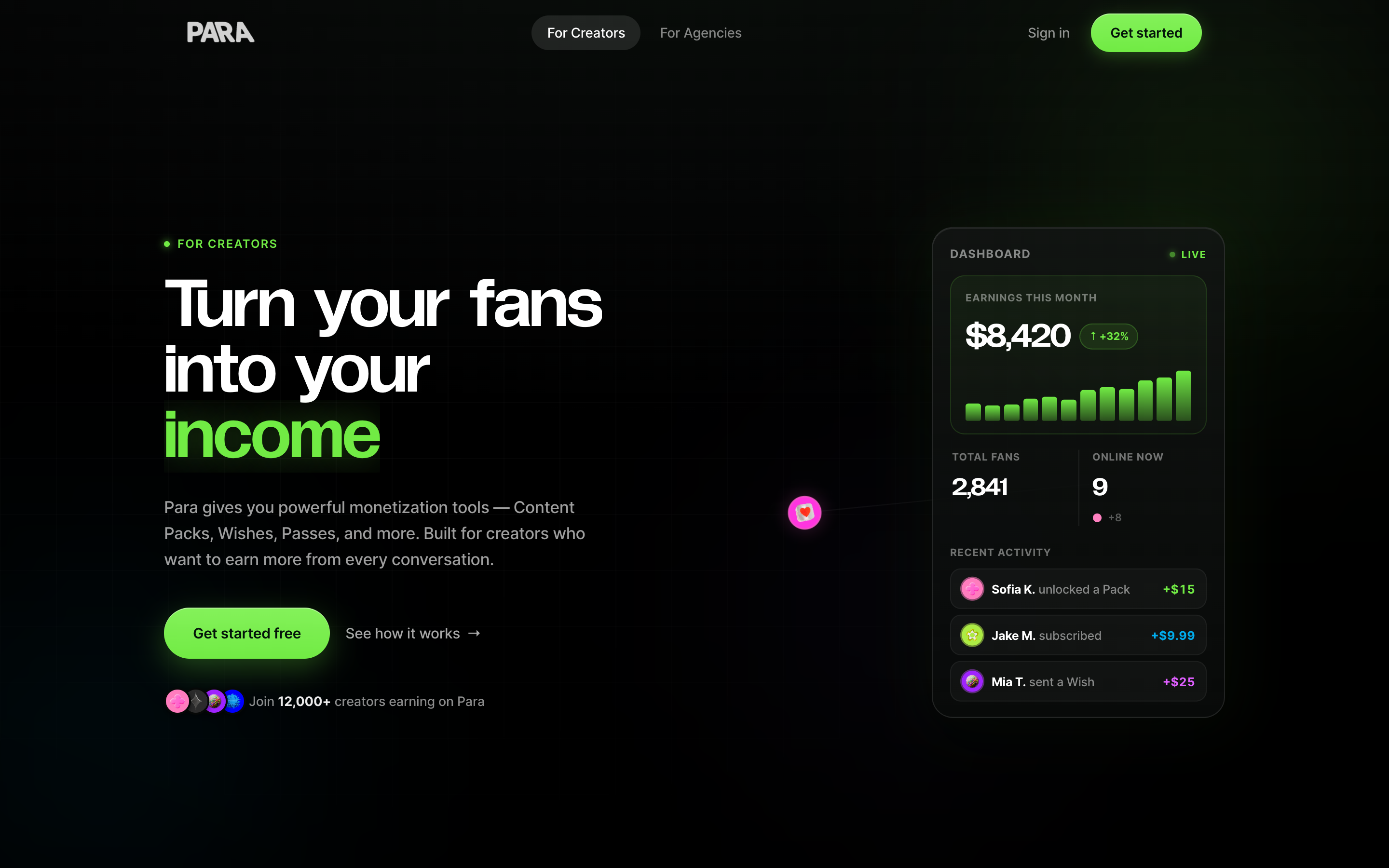 Para website screenshot
