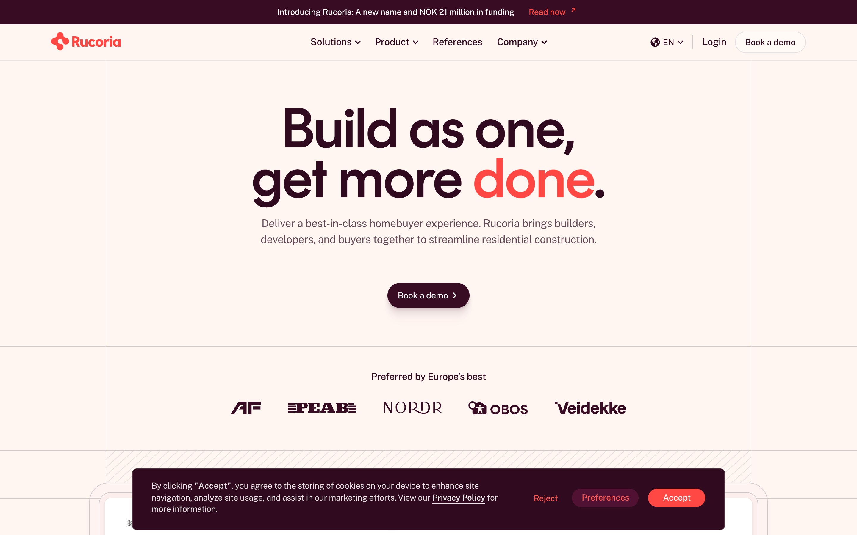Rubustech website screenshot