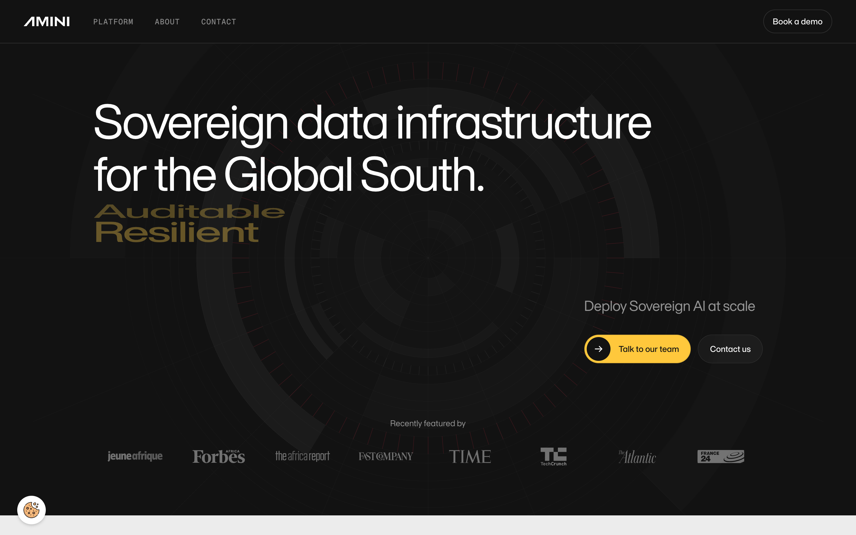 Amini website screenshot