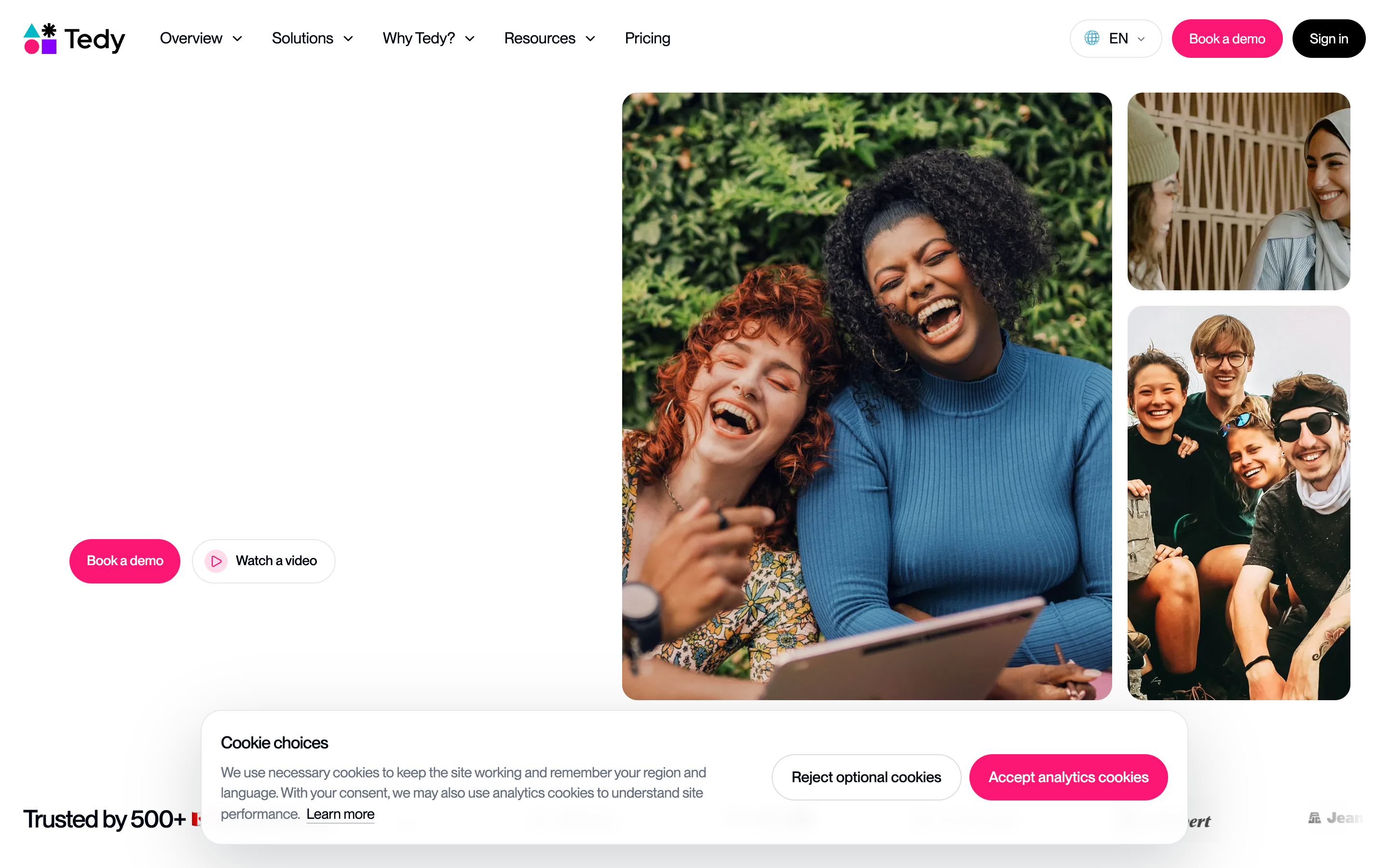 Tedy website screenshot