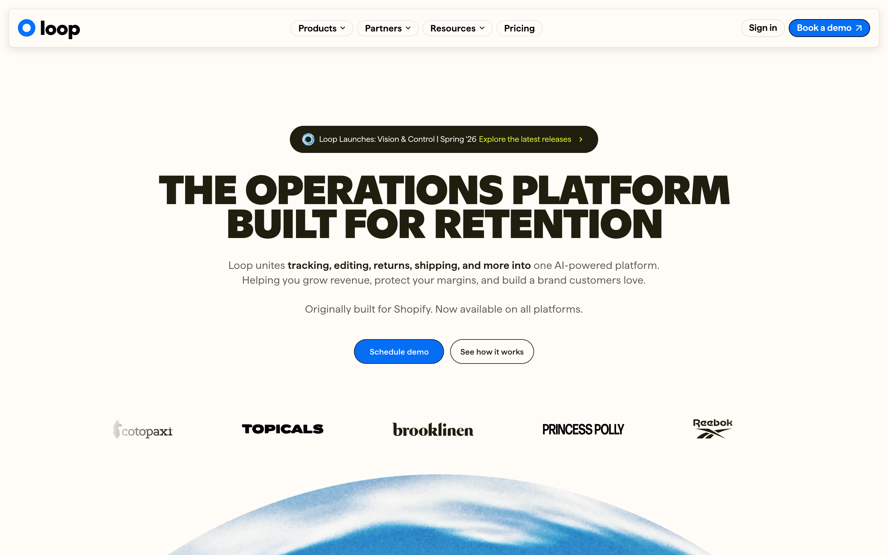 Loopreturns website screenshot