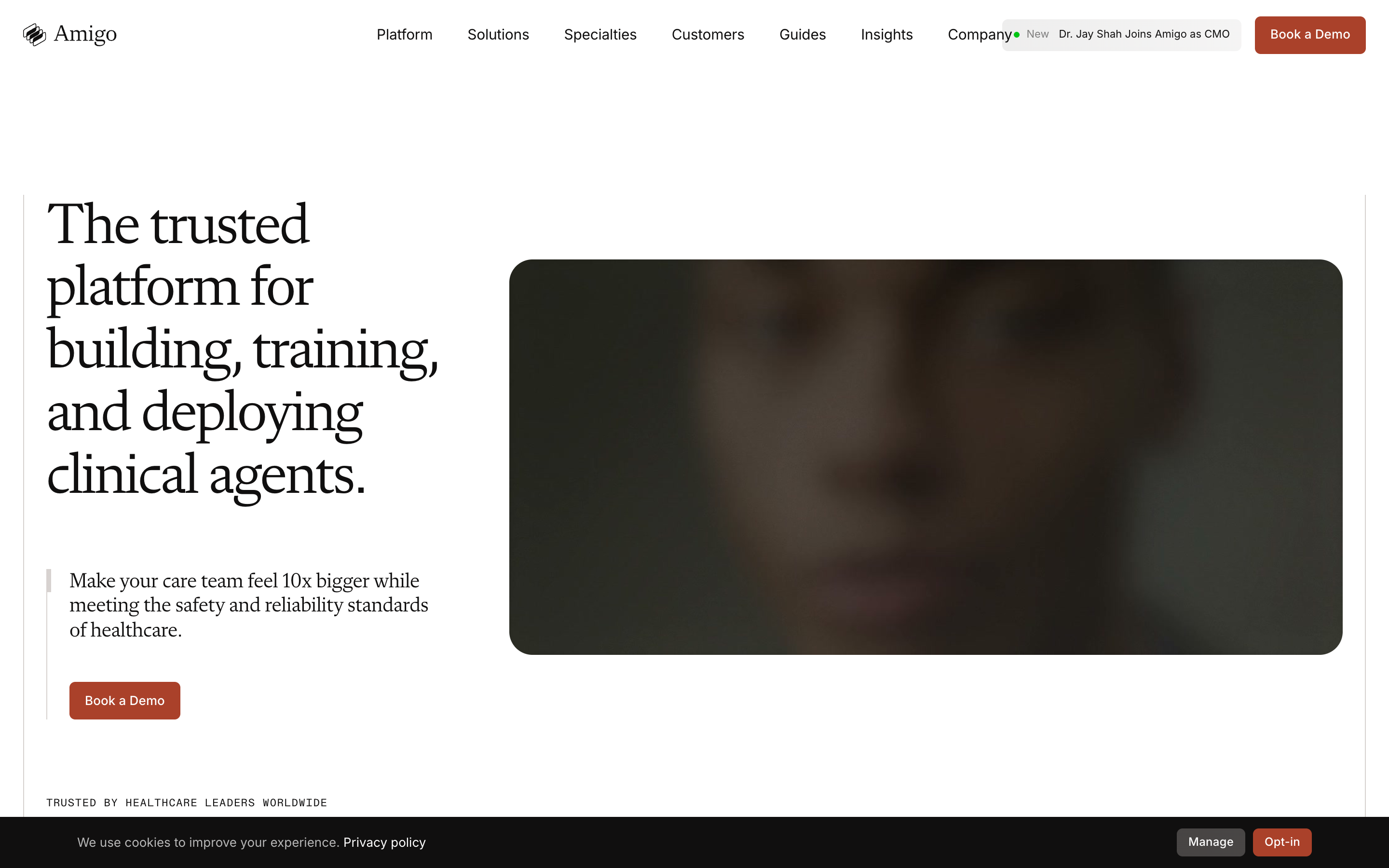 Amigo website screenshot