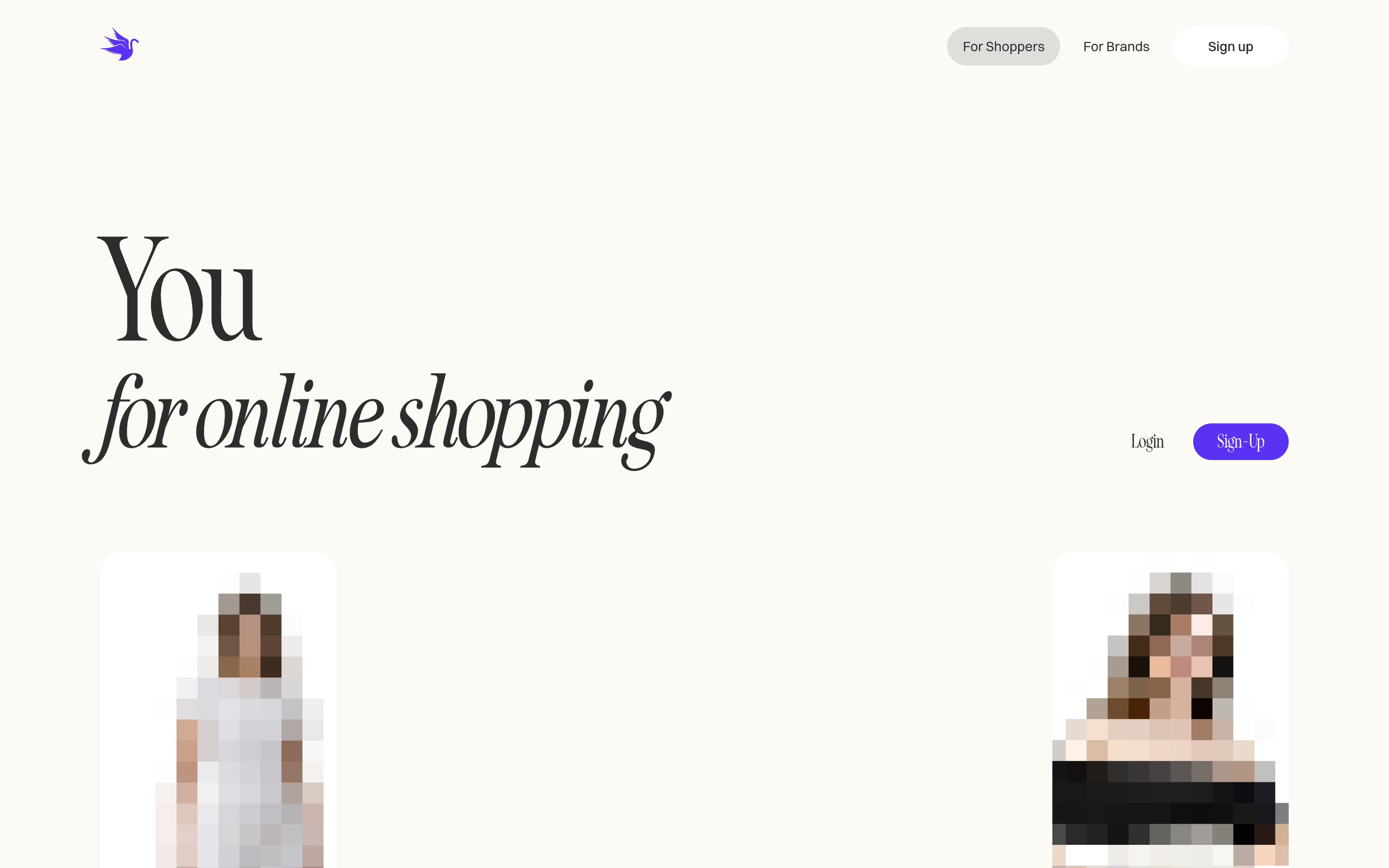 Swan website screenshot