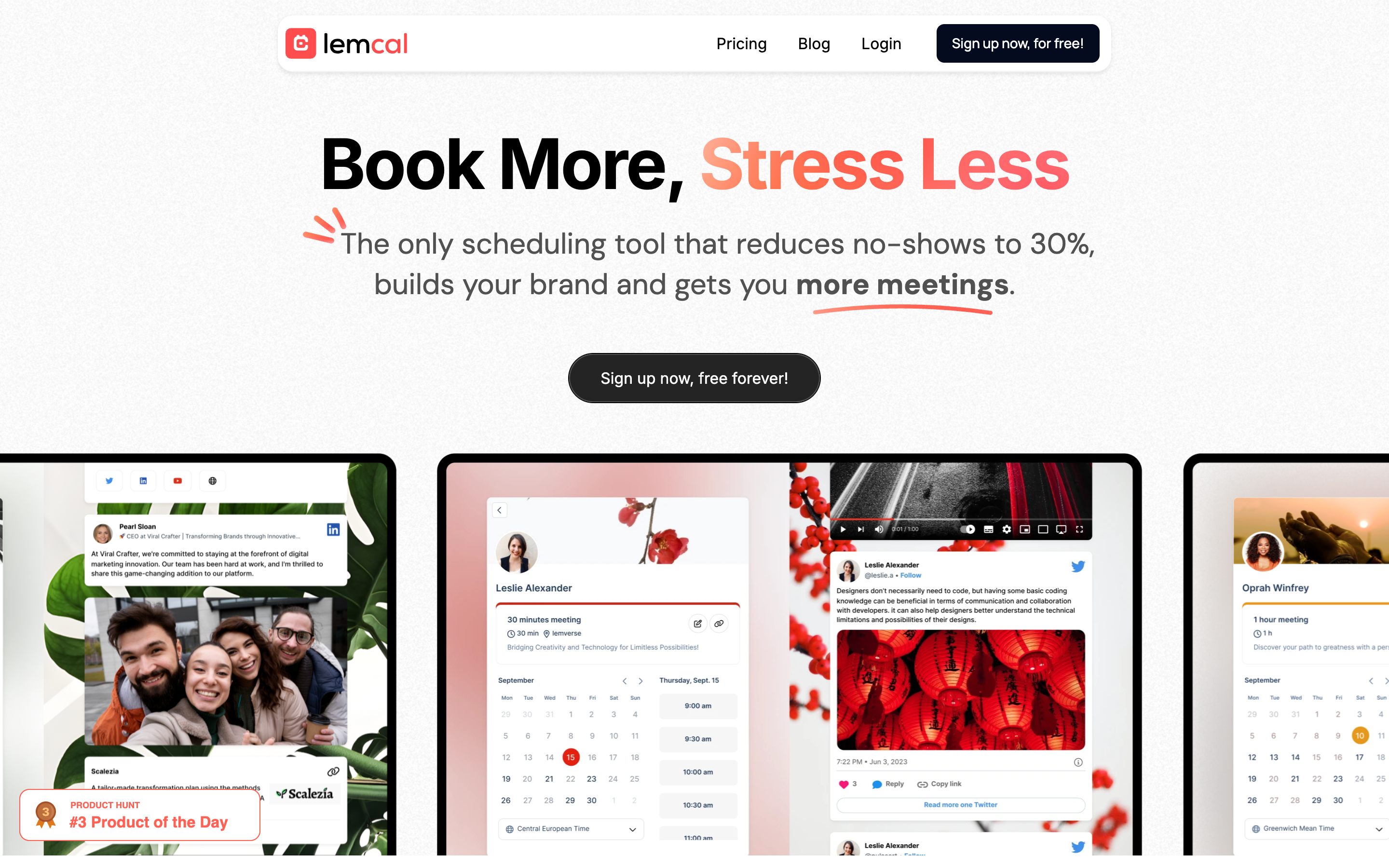 Lemcal website screenshot
