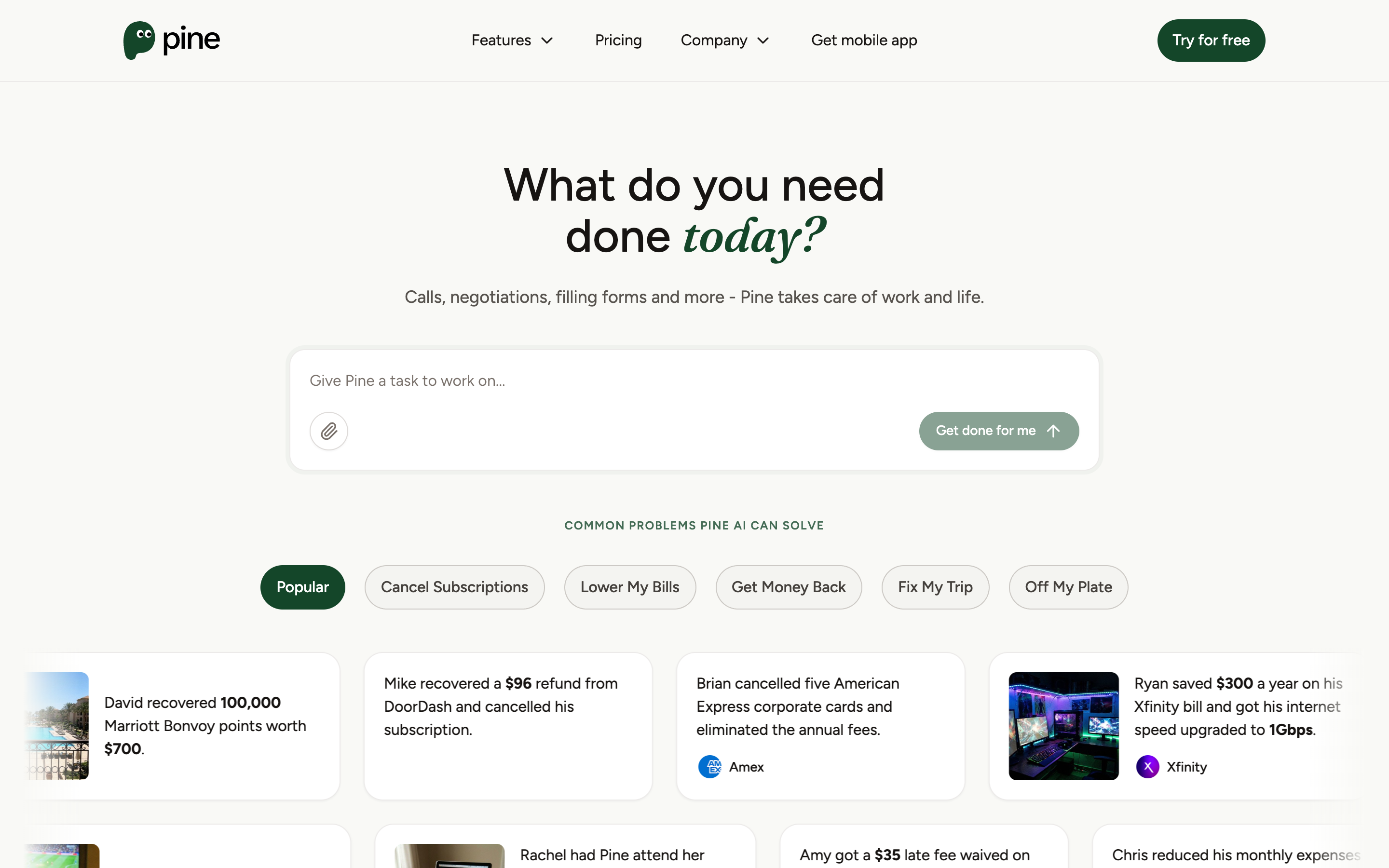 19Pine website screenshot