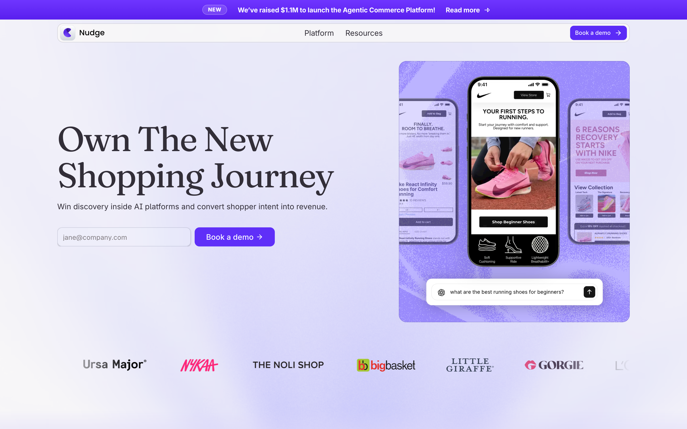 Nudgenow website screenshot