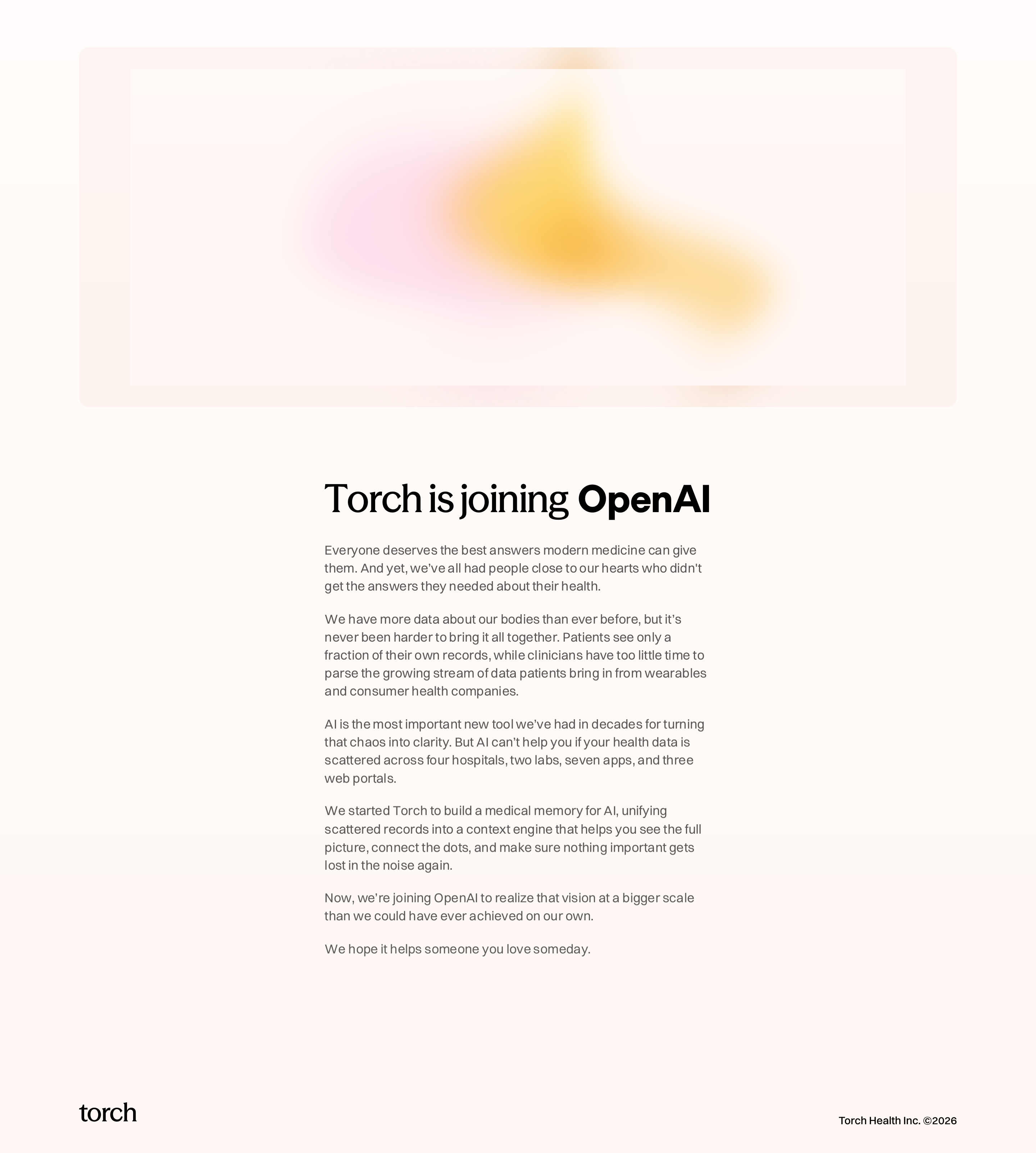 Torchapp desktop screenshot