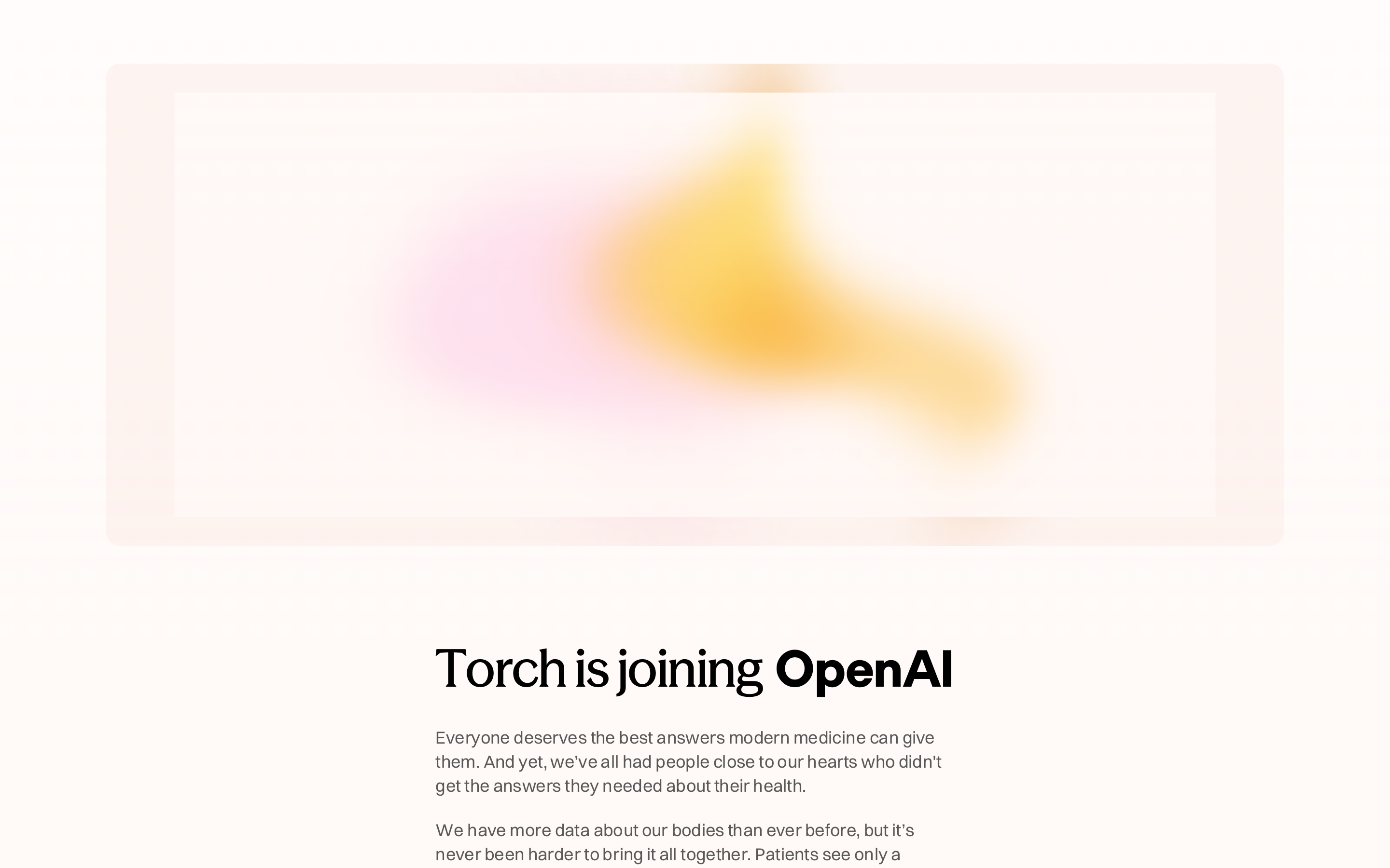 Torchapp website screenshot