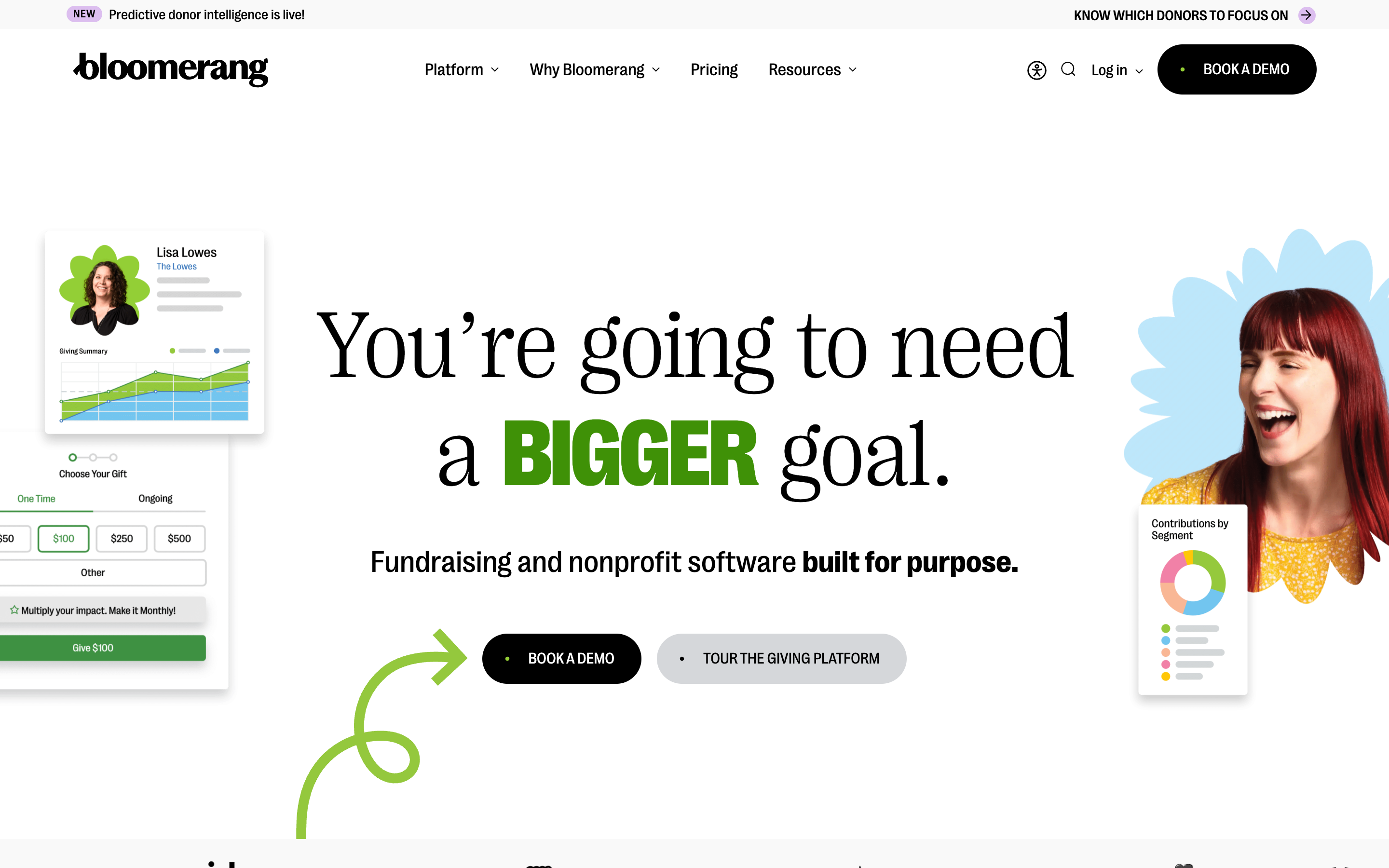 Bloomerang website screenshot
