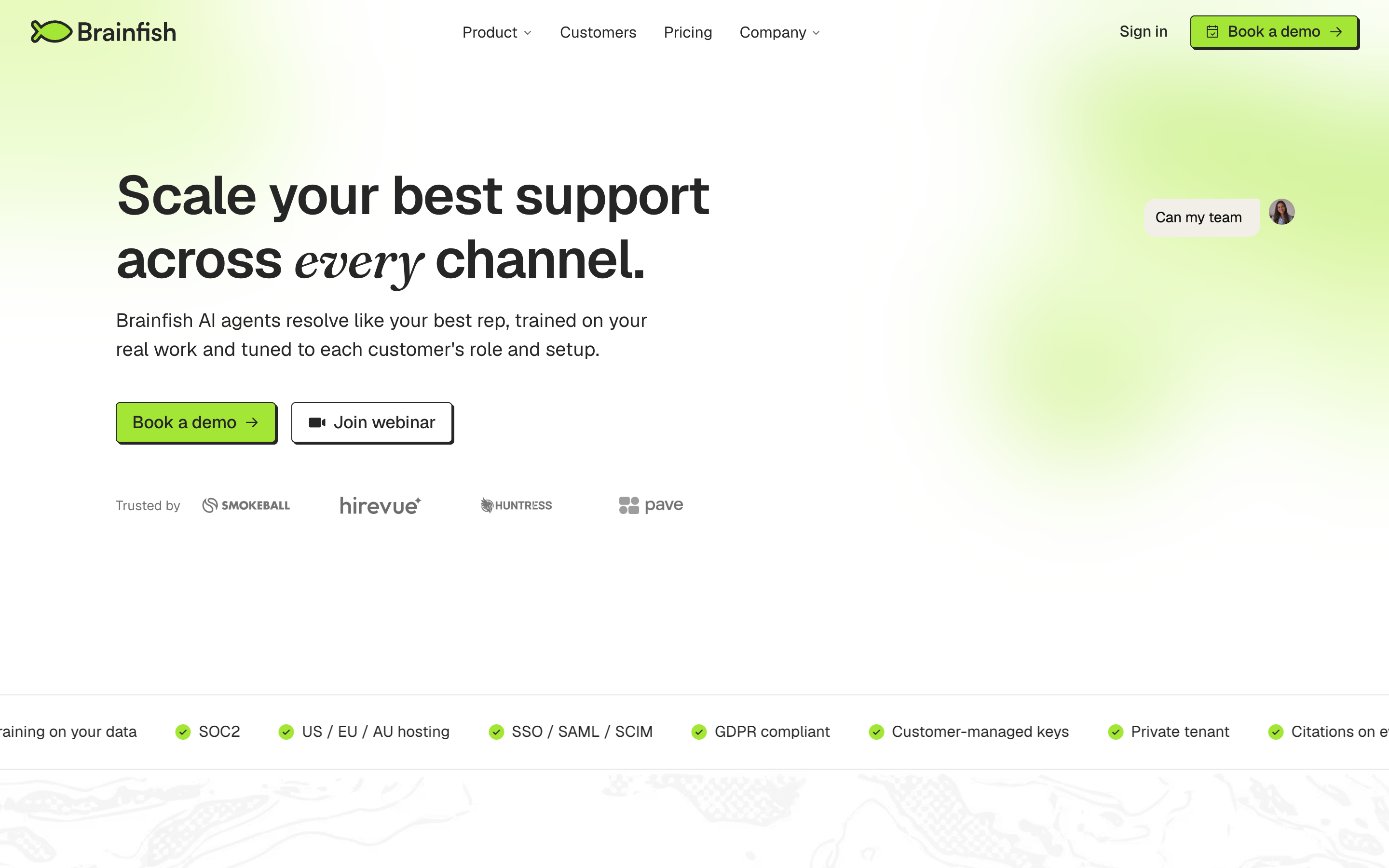 Brainfish website screenshot